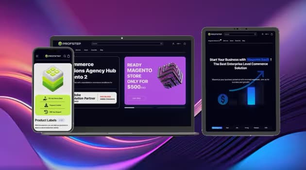 Launch of Our Innovative PWA Website